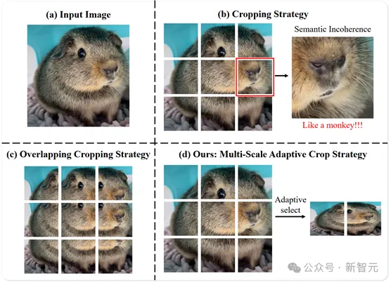 2B多模态新SOTA！华科、华南理工发布Mini-Monkey，专治「切分增大分辨率」后遗症