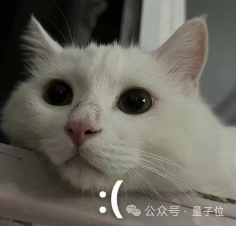 AI斗图神器：普通视频秒变meme，手绘动画轻松融入，了解一下？