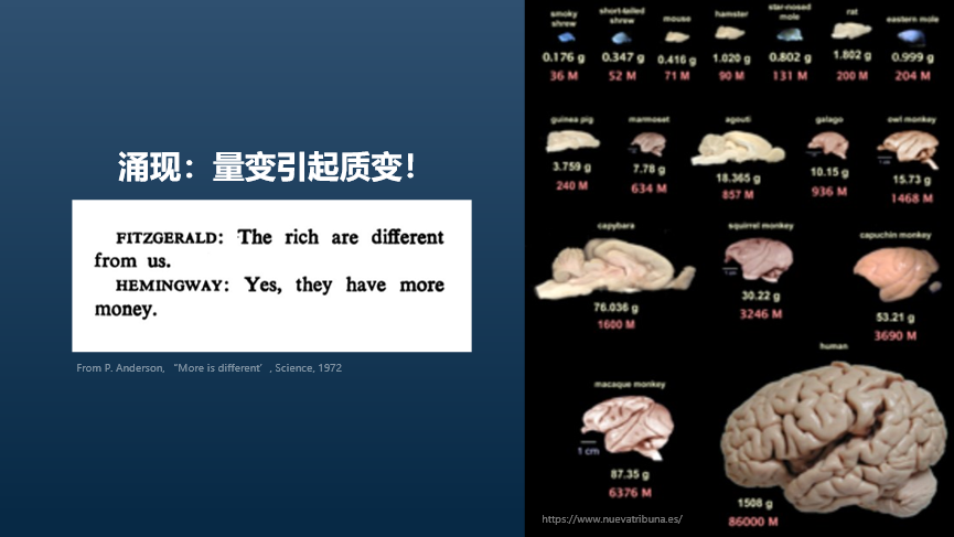 智库观点丨鄂维南院士：数学与人工智能