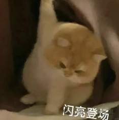 哪里不会扫哪里！全球最强数学大模型发布人人可玩Demo，阿里多模态模型加持，中文适用