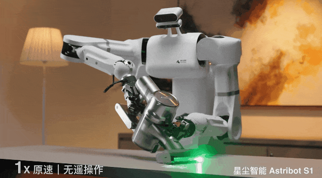 养老机器人真来了！国产顶流泡茶喂猫练咏春，帮十亿人做家务
