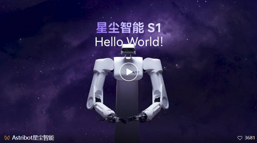 养老机器人真来了！国产顶流泡茶喂猫练咏春，帮十亿人做家务