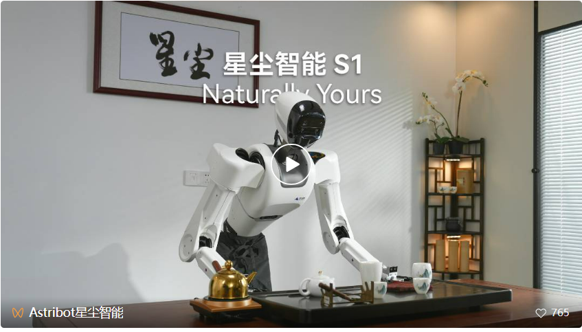 养老机器人真来了！国产顶流泡茶喂猫练咏春，帮十亿人做家务