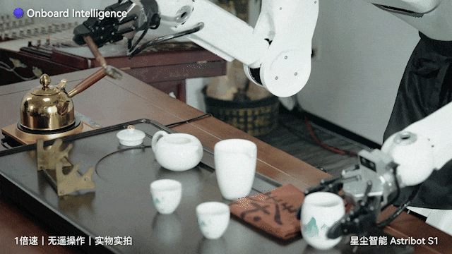 养老机器人真来了！国产顶流泡茶喂猫练咏春，帮十亿人做家务