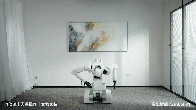 养老机器人真来了！国产顶流泡茶喂猫练咏春，帮十亿人做家务