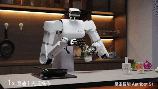 养老机器人真来了！国产顶流泡茶喂猫练咏春，帮十亿人做家务