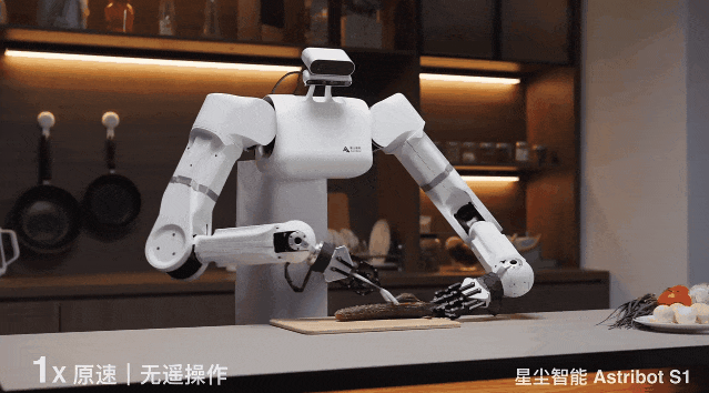 养老机器人真来了！国产顶流泡茶喂猫练咏春，帮十亿人做家务
