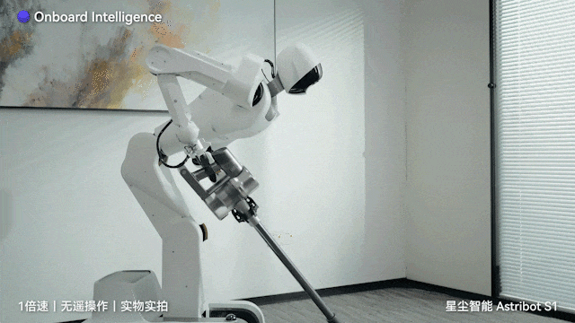 养老机器人真来了！国产顶流泡茶喂猫练咏春，帮十亿人做家务