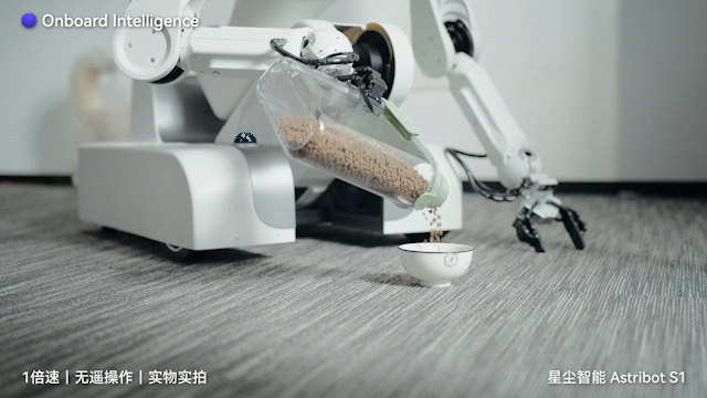 养老机器人真来了！国产顶流泡茶喂猫练咏春，帮十亿人做家务