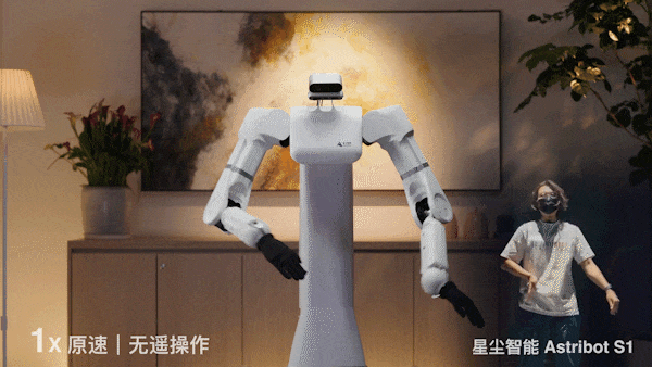 养老机器人真来了！国产顶流泡茶喂猫练咏春，帮十亿人做家务