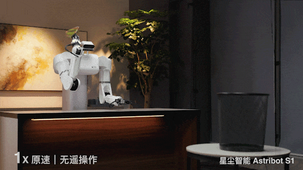 养老机器人真来了！国产顶流泡茶喂猫练咏春，帮十亿人做家务