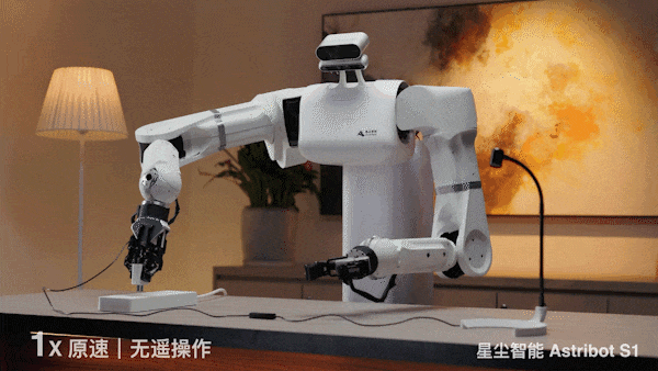 养老机器人真来了！国产顶流泡茶喂猫练咏春，帮十亿人做家务