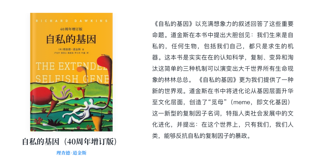 一年半了，AI 产品还没找到它的「张小龙」