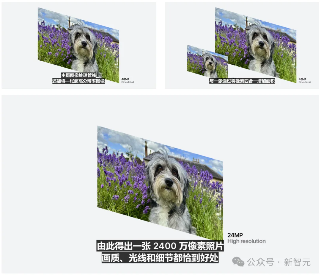 苹果史上第一台AI手机诞生，iPhone 16屠版热搜！中文版明年登场，3nm芯片封神