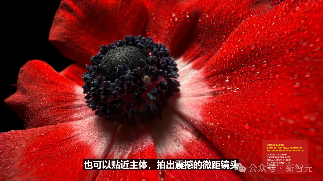 苹果史上第一台AI手机诞生，iPhone 16屠版热搜！中文版明年登场，3nm芯片封神