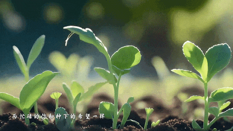 没翻车的AI广告，都做到了这一点