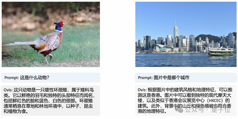 新SOTA来了：国产9B模型多项得分超4o-mini，中国出海电商已经用上了
