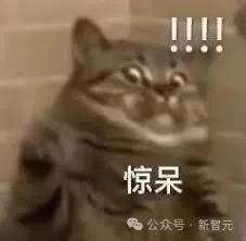 「群体智能」剑指AGI革命！国产架构挑战Transformer霸权，首款非Attention模型更新