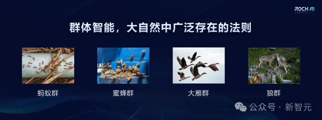 「群体智能」剑指AGI革命！国产架构挑战Transformer霸权，首款非Attention模型更新