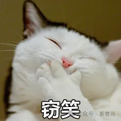 中国首个通用泛化机器人终于来了！清华校友打造中国版Figure 01，连续泛化丝滑处理多任务