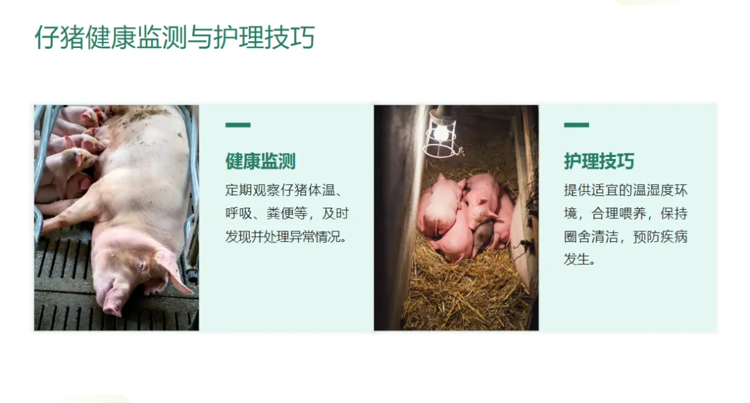 我试了5个做PPT的AI，最好用的是...