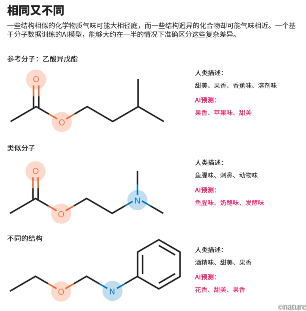 AI能帮忙破解嗅觉密码吗？