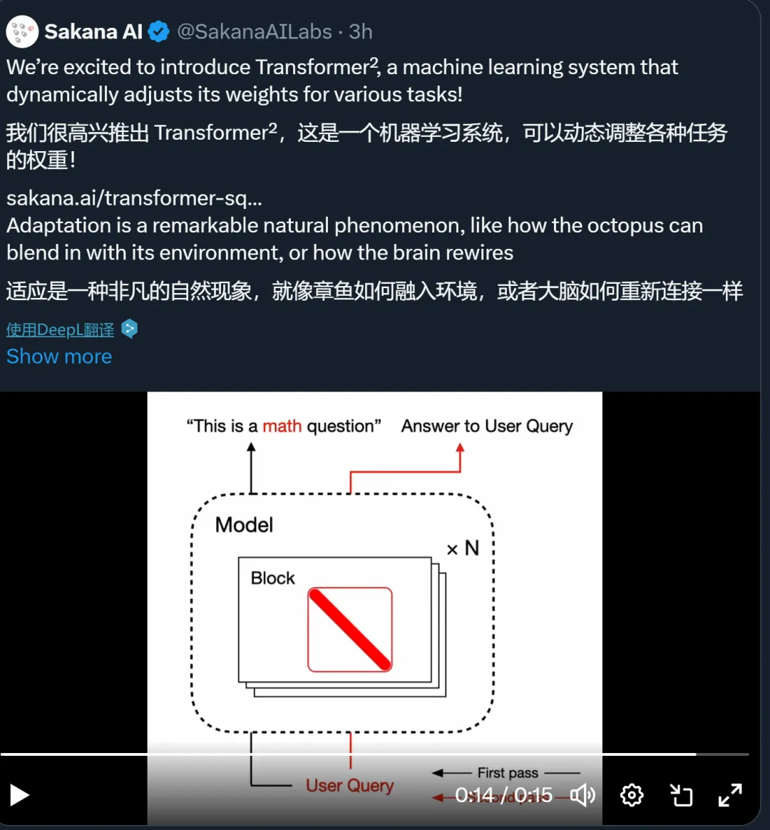 Transformer²要做「活」的AI模型，动态调整权重，像章鱼一样适应环境