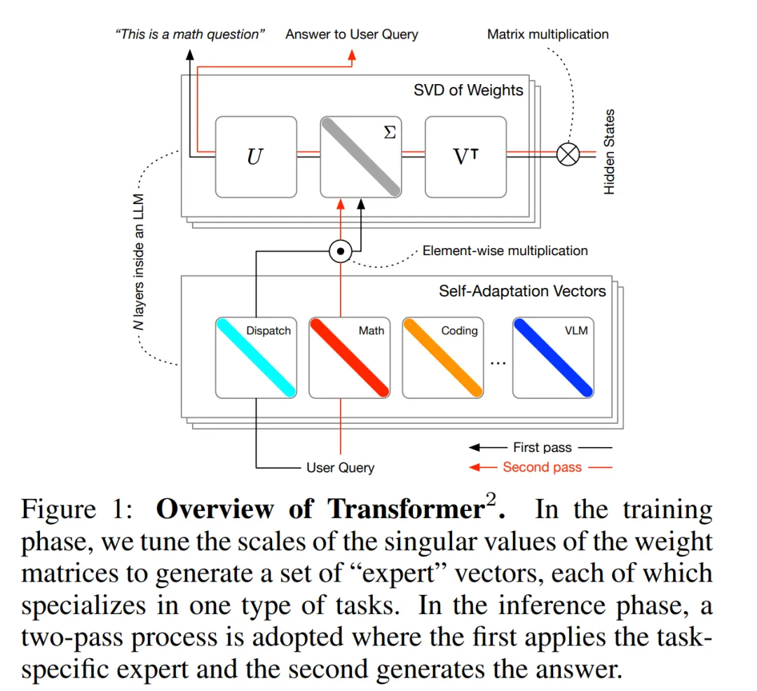 Transformer²要做「活」的AI模型，动态调整权重，像章鱼一样适应环境