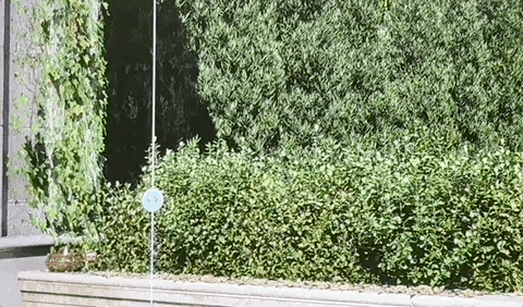 5090跑《黑神话》飙到200+帧，英伟达DLSS也用上Transformer了