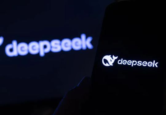 一场关于DeepSeek的高质量闭门会:比技术更重要的是愿景