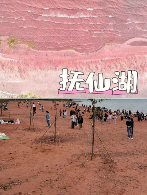 AI 让我花了 1000 多块，去了一个根本不存在的景点