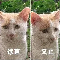 OpenAI被曝瞄准AI音乐赛道商业化,Suno首当其冲