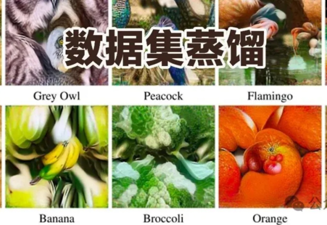 数据集蒸馏,连发两篇顶会!10%样本实现全量性能,鲁棒不失真