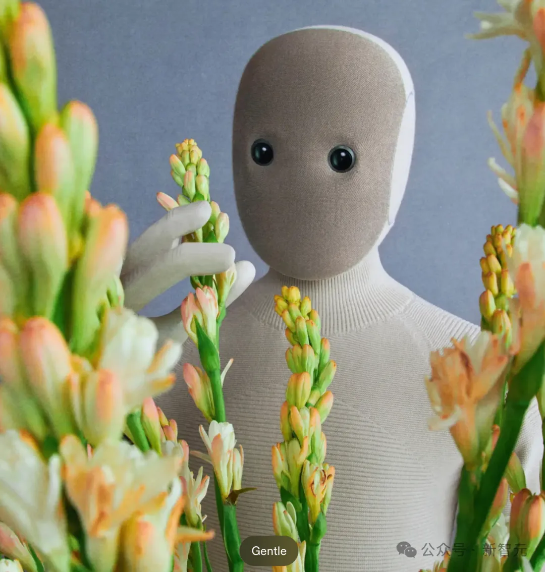 全球首个「不带脑子」的住家机器人开卖,售价14万!