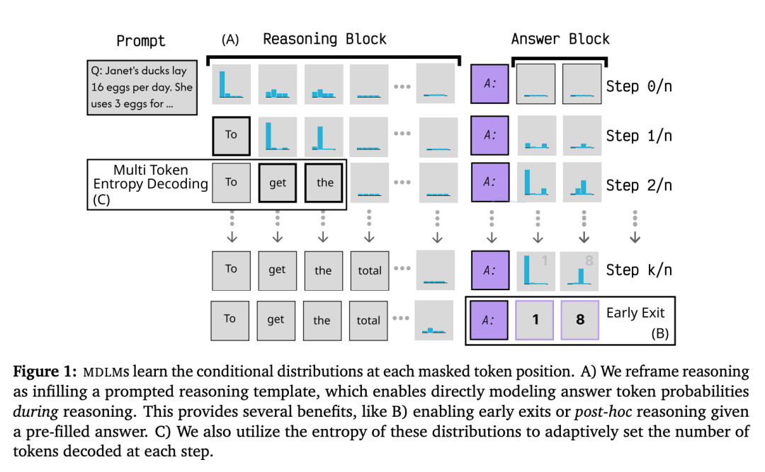扩散语言模型新发现：其计算潜力正在被浪费？