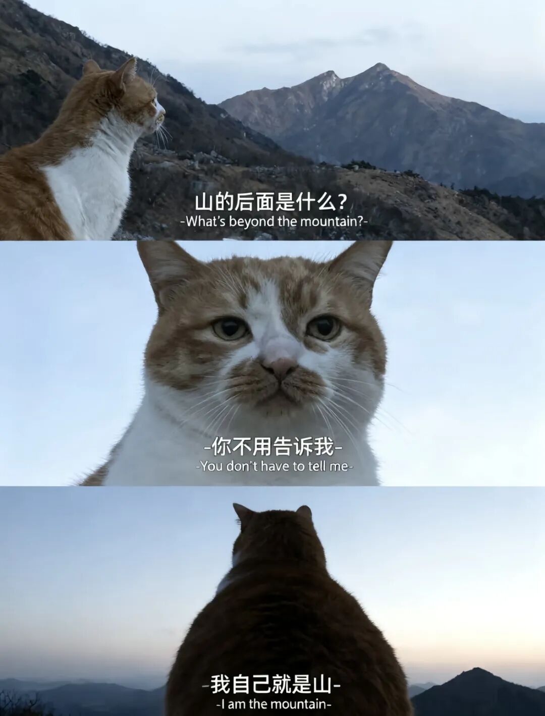 爆火的AI三宫格图片，比我们的生活更像电影。