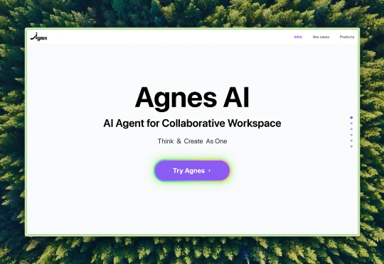 对话 Agnes AI：“我们想让全球的用户，用到更好的 AI。”