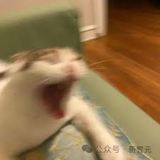 AI狂造人类失踪案，百万网友疯狂上头！爆款视频脑洞太离谱，原地笑疯