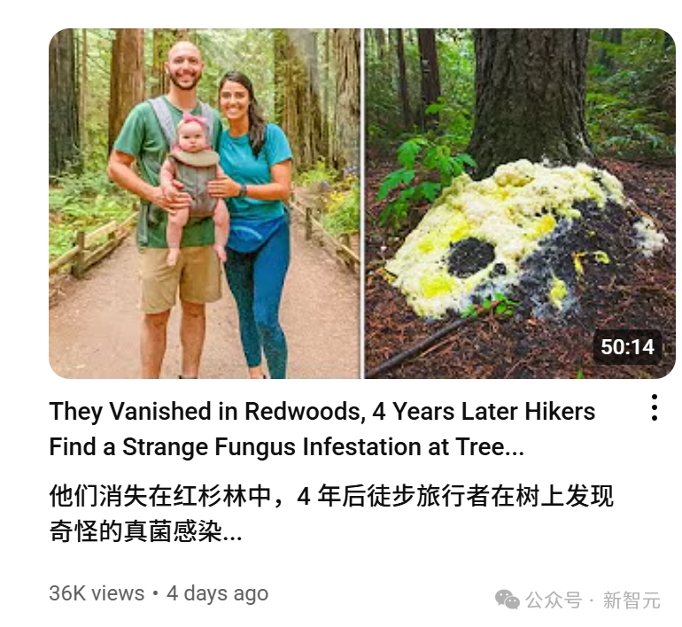 AI狂造人类失踪案，百万网友疯狂上头！爆款视频脑洞太离谱，原地笑疯