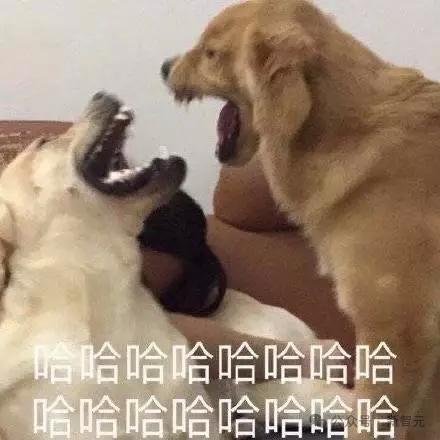 AI狂造人类失踪案，百万网友疯狂上头！爆款视频脑洞太离谱，原地笑疯