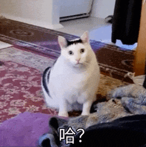 AI狂造人类失踪案，百万网友疯狂上头！爆款视频脑洞太离谱，原地笑疯