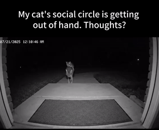 AI狂造人类失踪案，百万网友疯狂上头！爆款视频脑洞太离谱，原地笑疯