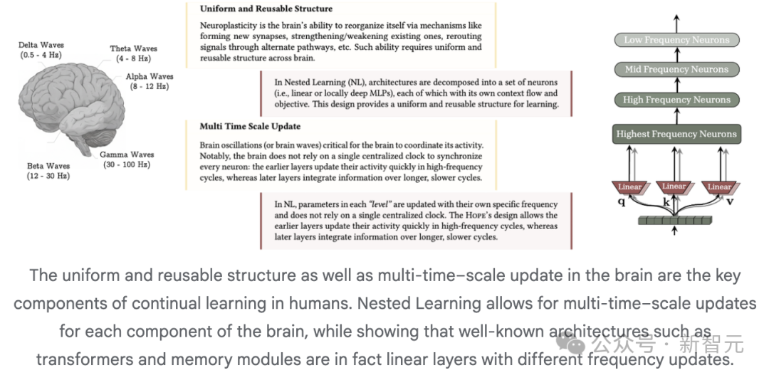 终结Transformer统治!清华姚班校友出手,剑指AI「灾难性遗忘」