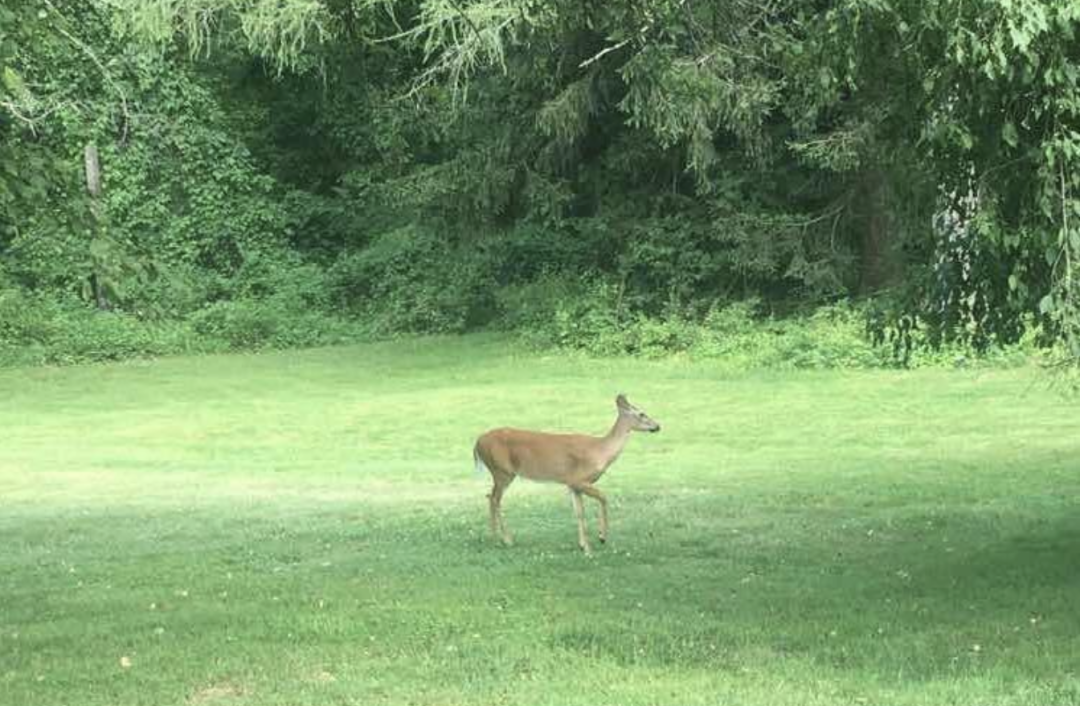 对话深势科技张林峰、孙伟杰：AI for Science，从开始到现在