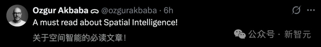 李飞飞万字长文爆了!定义AI下一个十年