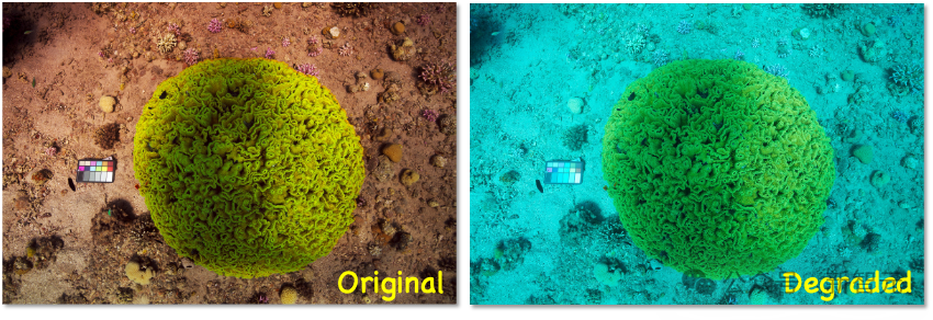 NeurIPS 25开新坑：145万个图文对，覆盖八种主流水下理解任务