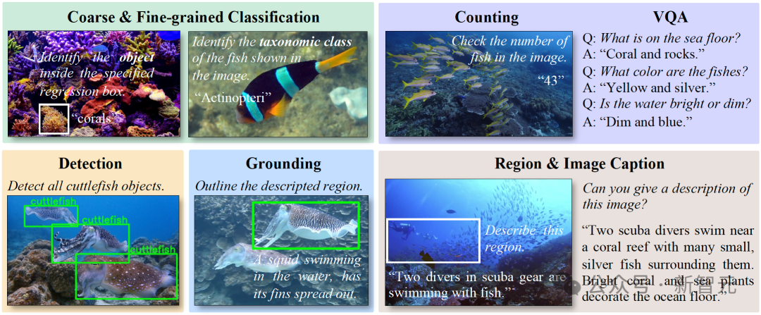 NeurIPS 25开新坑：145万个图文对，覆盖八种主流水下理解任务