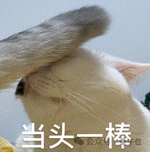 6666！NeurIPS满分论文来了