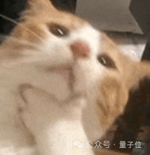 6666！NeurIPS满分论文来了