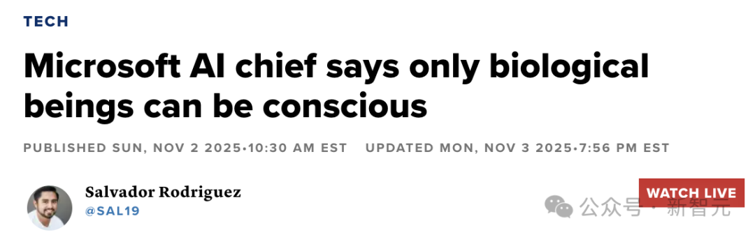 微软AI掌门直击AI乱象！AI意识纯属危言耸听，机器觉醒歧途一条
